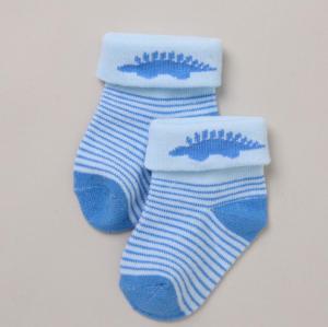 Lily and Jack 10 Pack Socks 'Dinosaurs'